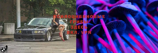 бутират Алзамай