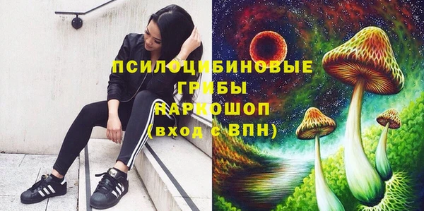 бутират Алзамай