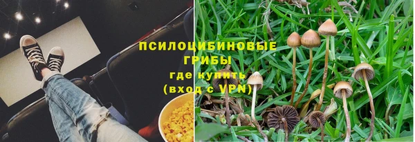бутират Алзамай