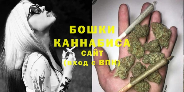 сатива Протвино