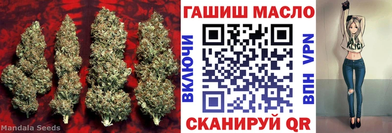Дистиллят ТГК вейп  купить   Лесной 