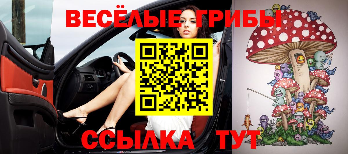 Псилоцибиновые грибы MAGIC MUSHROOMS  Вход с VPN  Лесной 