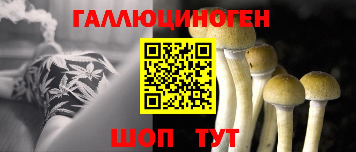 Псилоцибиновые грибы мухоморы Лесной